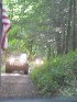 Dunkle Hollow
